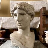 Concrete bust painted in beige - reproduction, detail of "The Dying Slave"