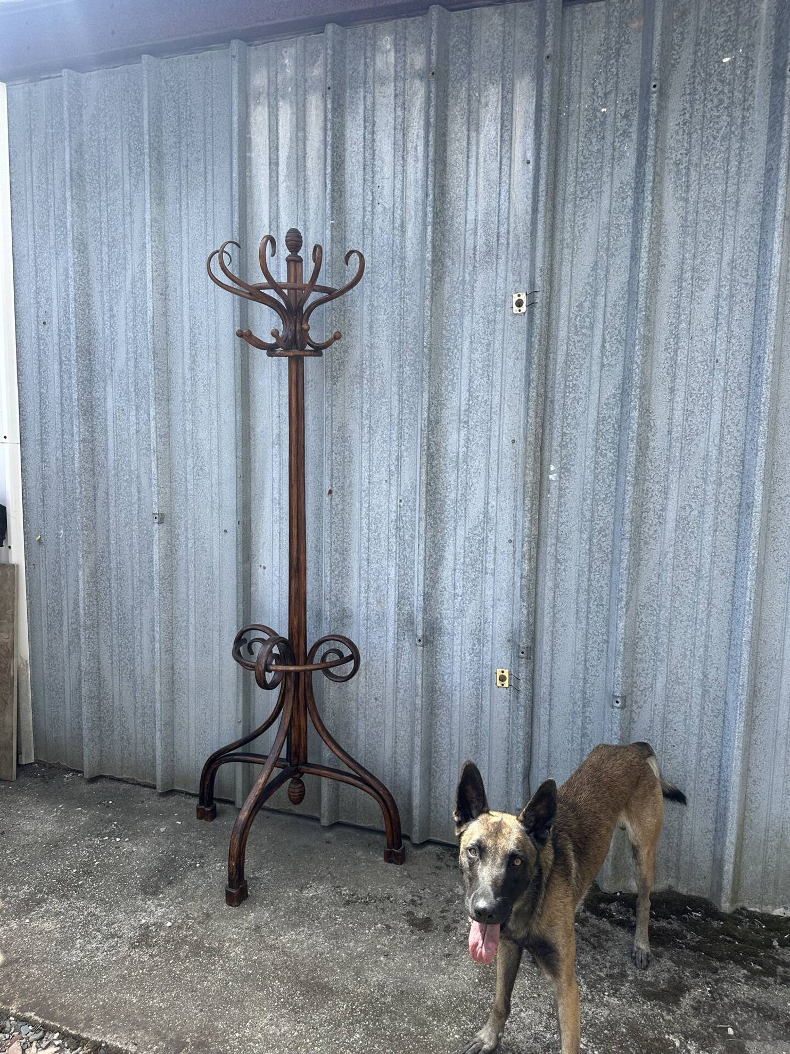 Coat rack umbrella stand curved wood