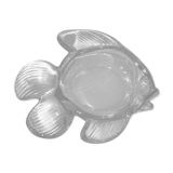 Empty glass fish bag