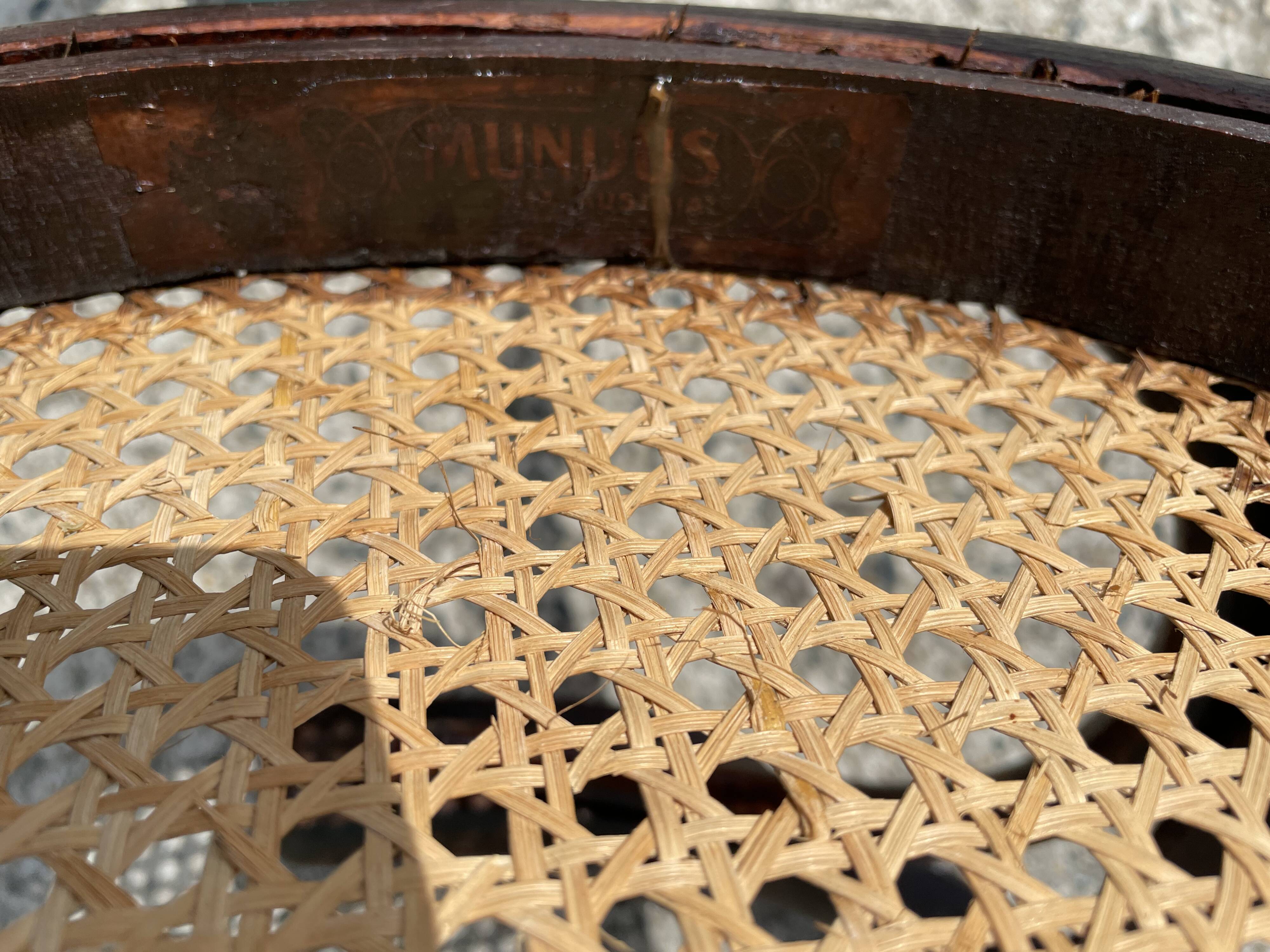 Canned office chair MUNDUS 1900