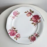 Plats roses