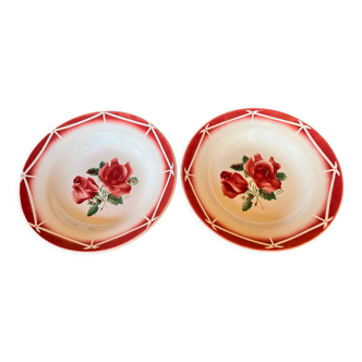 Set of 2 hollow plates Digoin & Sarreguemines model "Cibon"