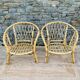 Paire de fauteuils en rotin adulte
