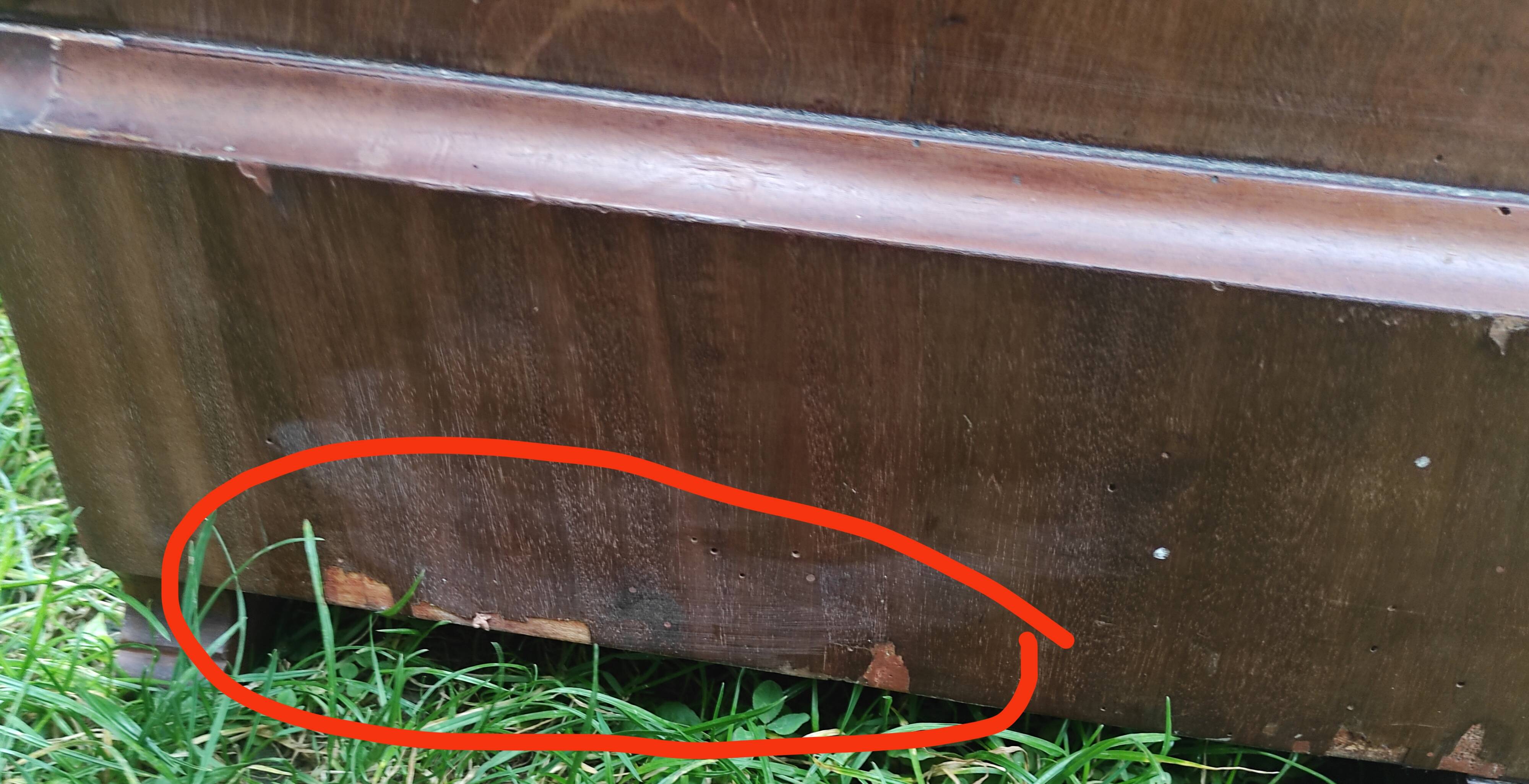 Parisian glass cabinet.