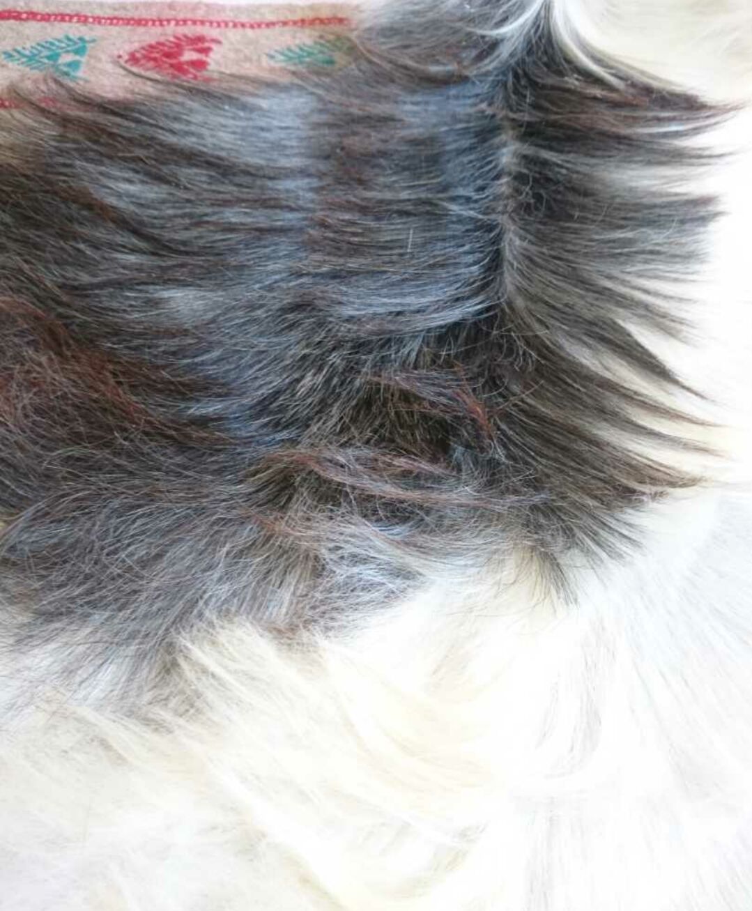 Natural black and white goat skin 92x47cm