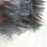 Natural black and white goat skin 92x47cm