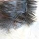 Natural black and white goat skin 92x47cm