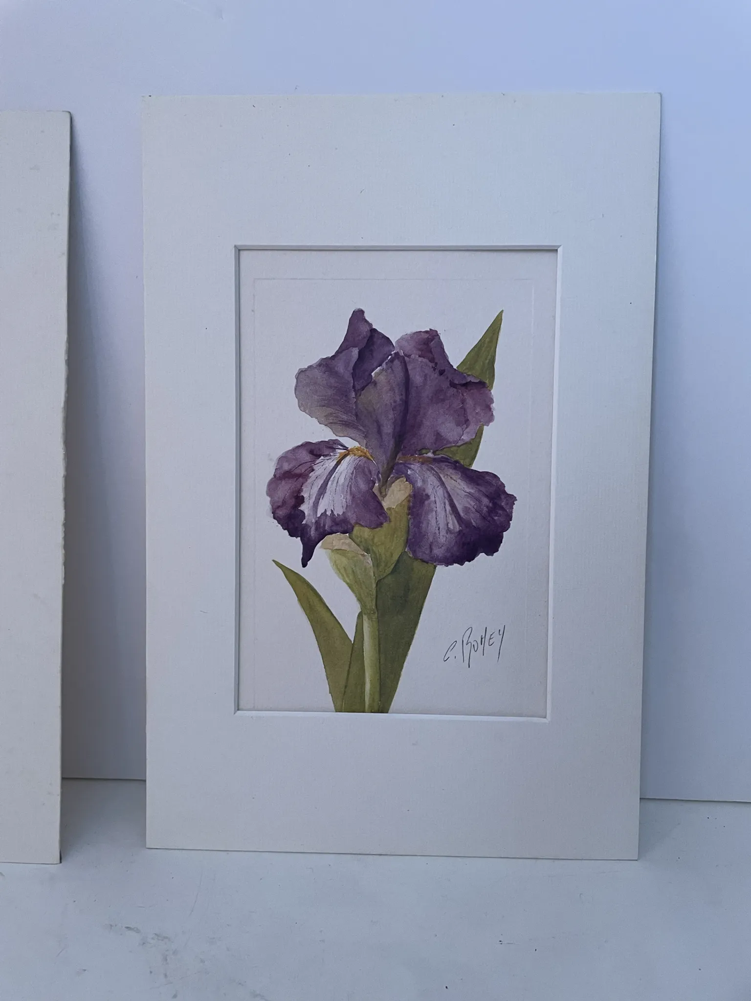 Duo d’aquarelles de Cecil Romey