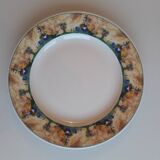 Set of 4 porcelain plates from SARREGUEMINES - PYROBLAN - Model FLORENCE