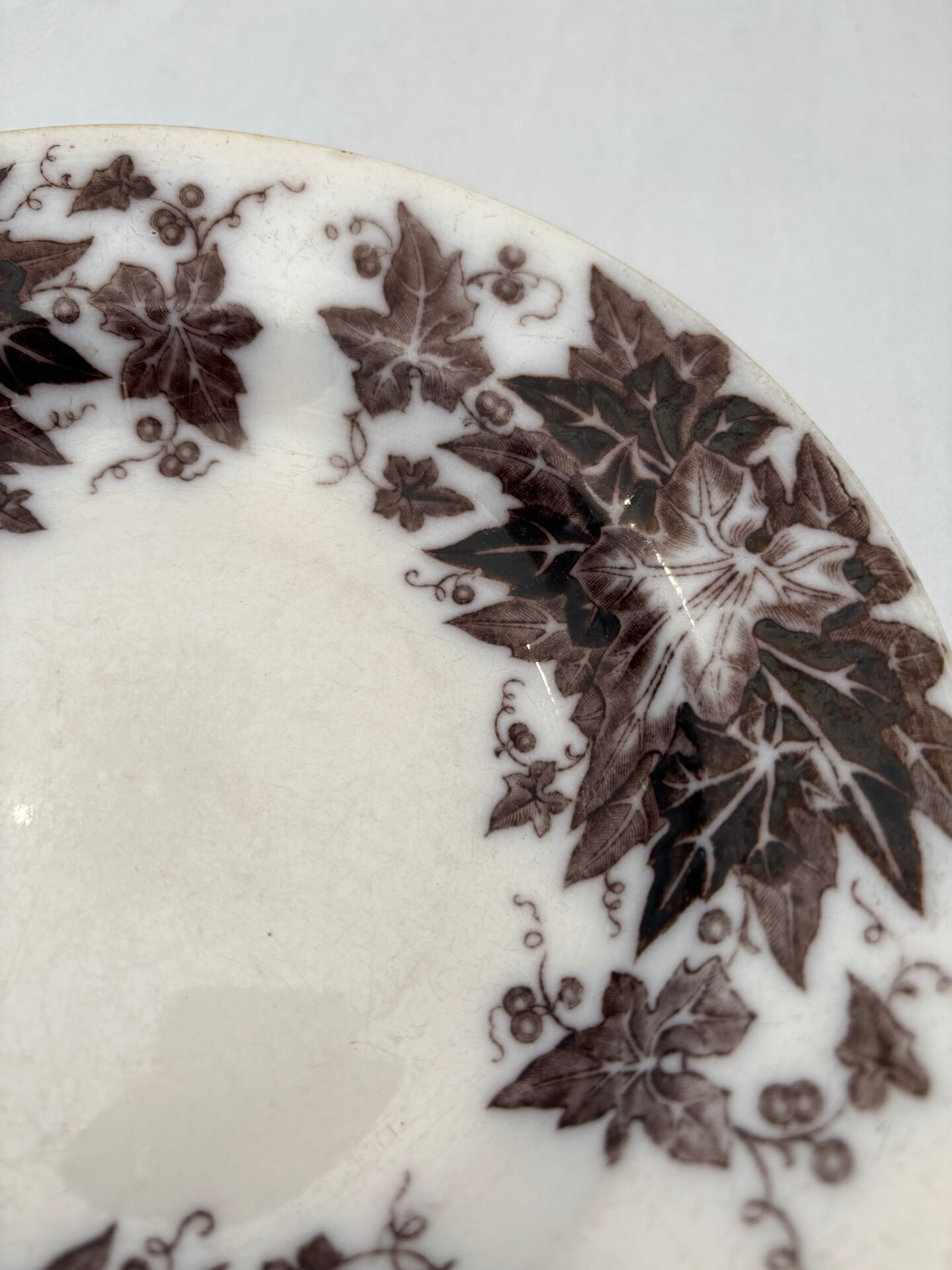 Iron earth plate sepia Sarreguemines model Bryonia - 19th-century earthenware