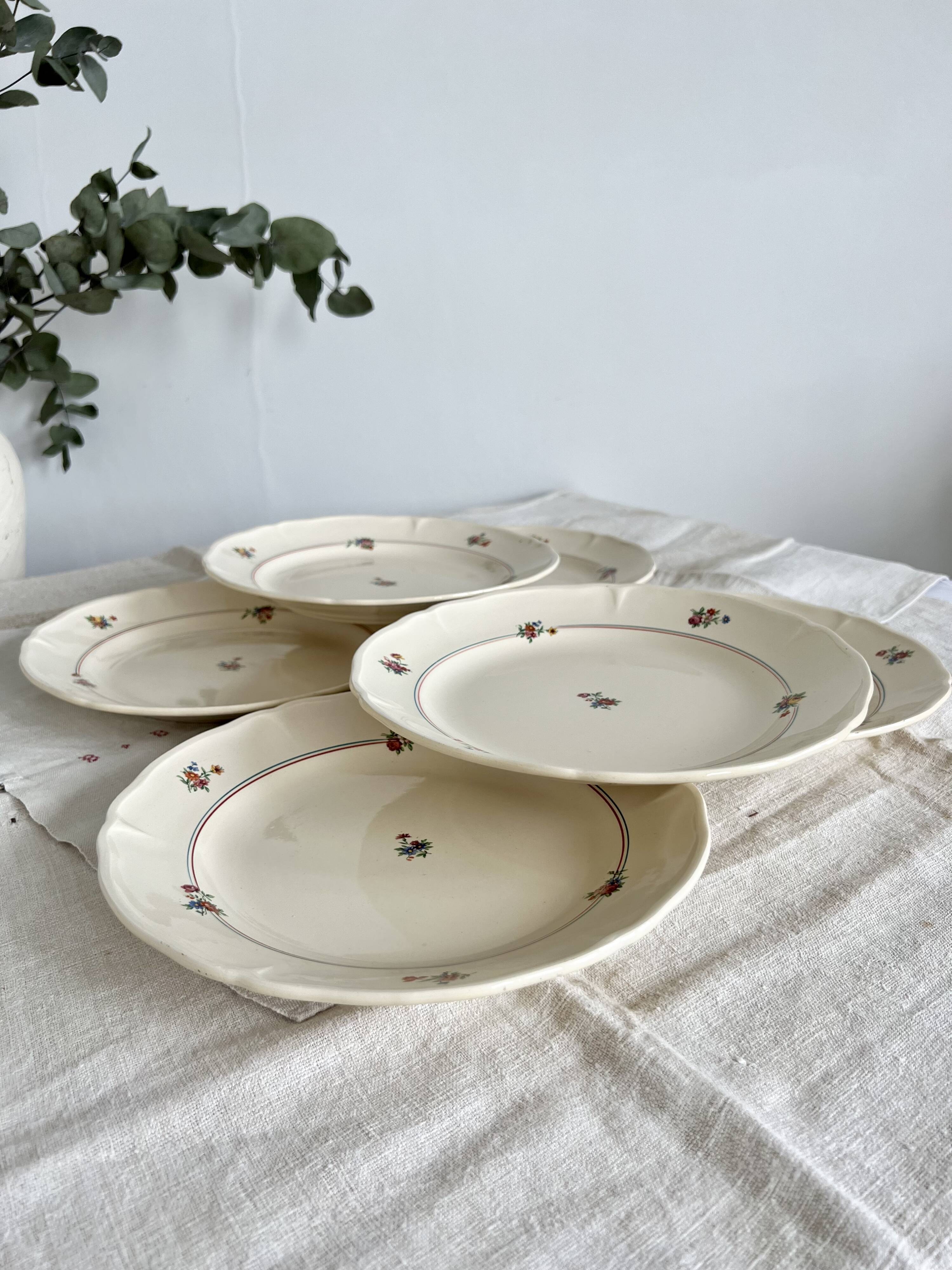 Set of 12 mdl plates - beauce model