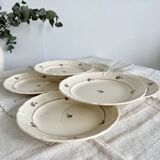 Set of 12 mdl plates - beauce model