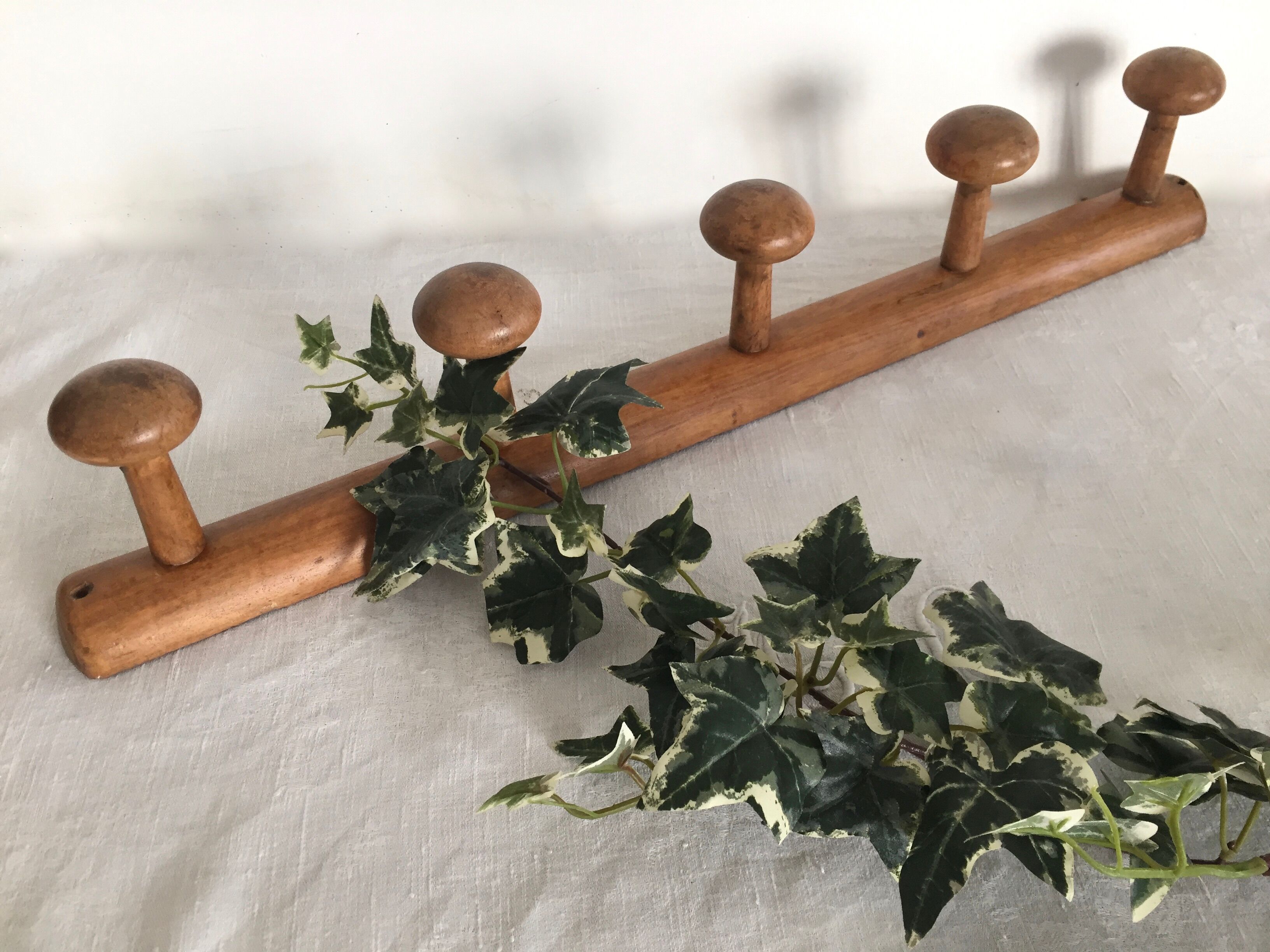 5-mushroom coat holder