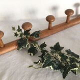 5-mushroom coat holder