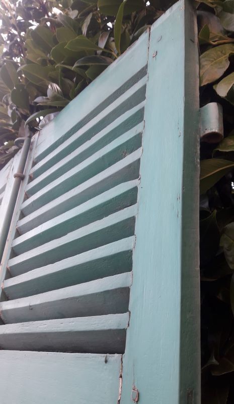 Pair of louvered shutters H220xW120cm