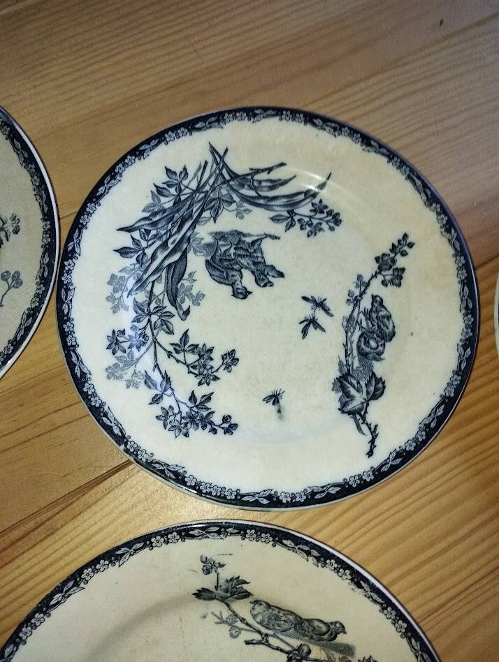 Flat Plates “Terre de Fer – The Chicks” (5 pieces)