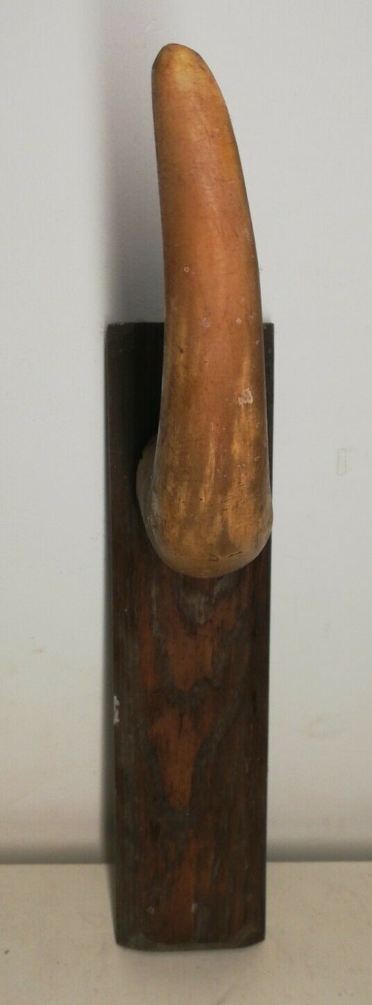 Cow horn coat holder