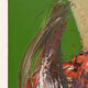 Fly, Oil on Canvas, 50 x 70 cm