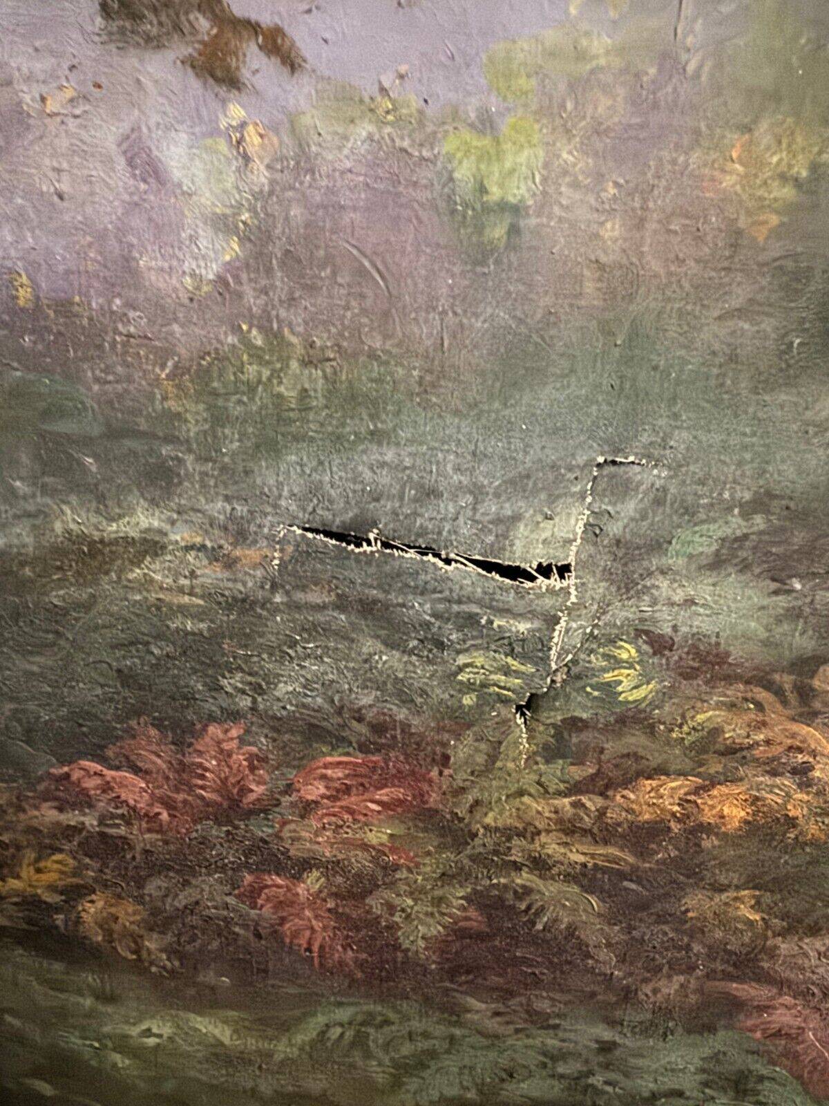 Oil on canvas undergrowth landscape by Charrrier early 20th century