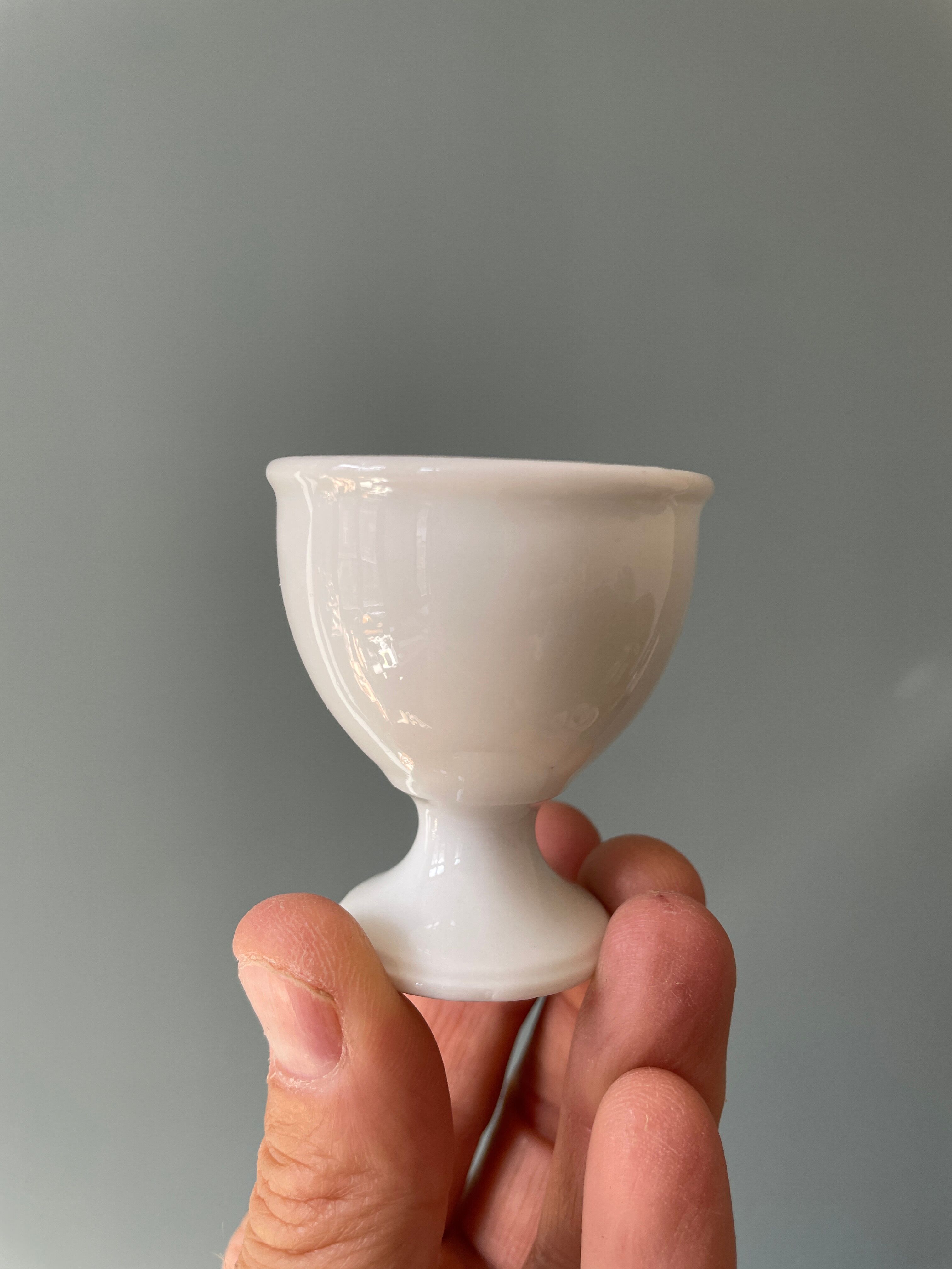 Set of 13 old standing cockroaches