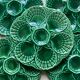 Vintage ceramic oyster plates
