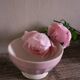 Small pink ribbed footed bowl Digoin Sarreguemines