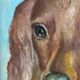 Vintage original dog portrait oil painting, signed animal art