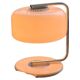 Collectible Space Age Table / Desk Lamp in Steel and Plexiglass Voghera by Zonca