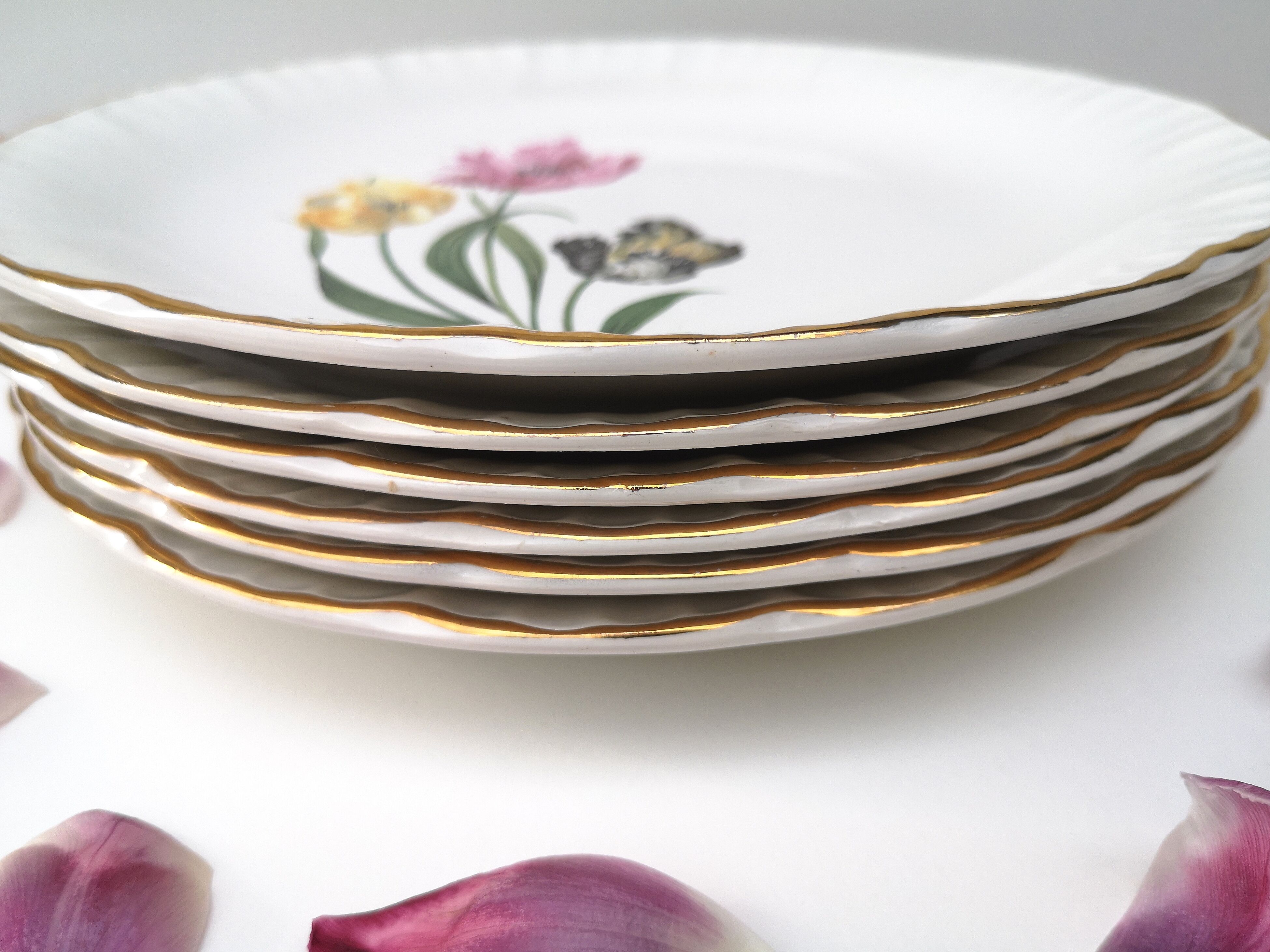 Lot 6 flat plates Digoin Sarreguemines