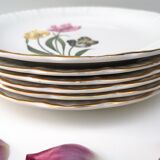 Lot 6 flat plates Digoin Sarreguemines