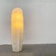 Cactus floor lamp Sucu postmodern German by Art Nowo for Flötotto