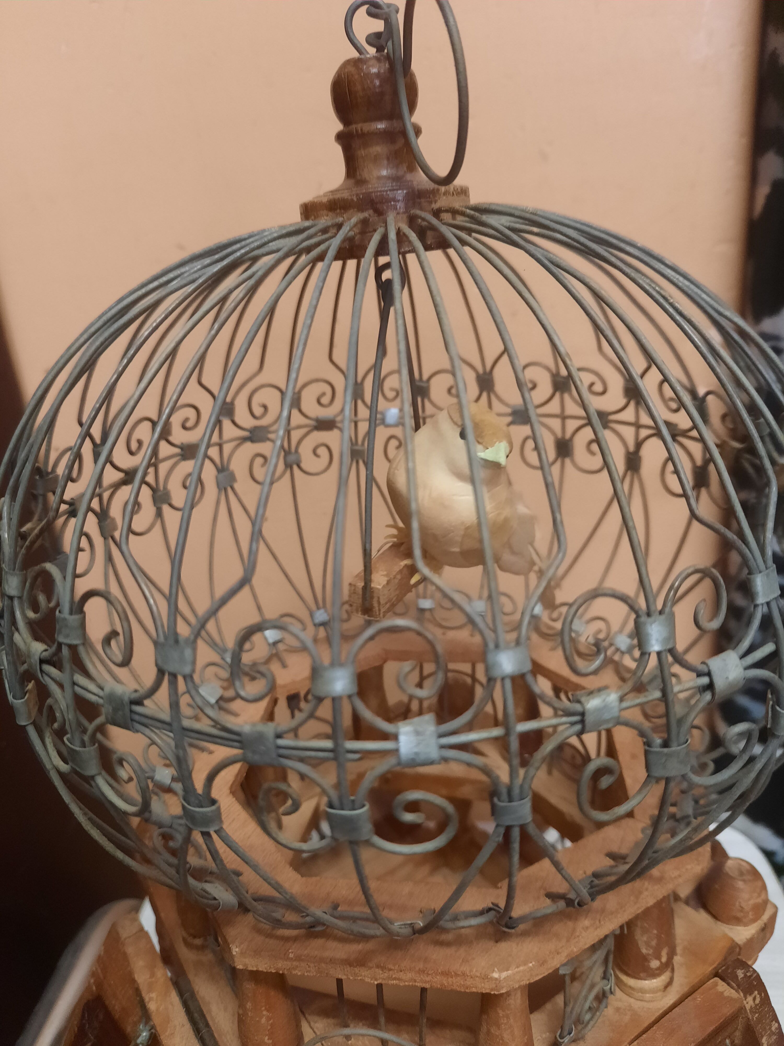 Bird cage