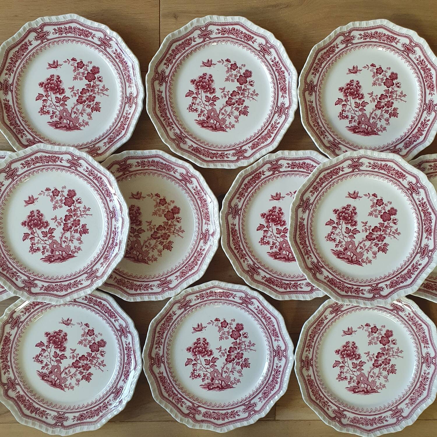 12 Mason's dinner plates