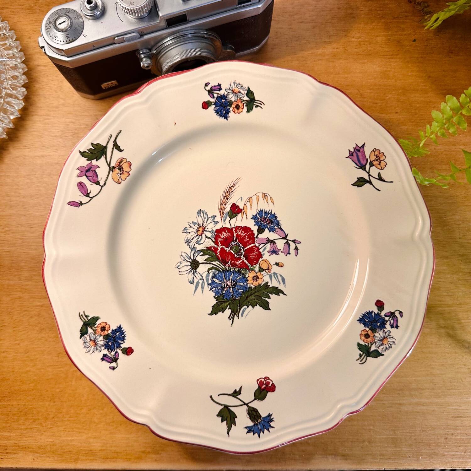 Set of 6 Agreste Sarreguemines plates