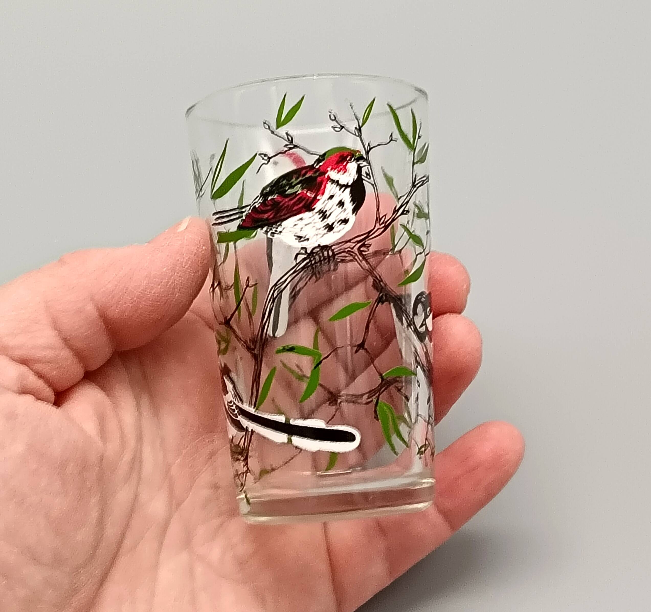 5 small vintage silkscreened bird motif GLASSES 1960/70