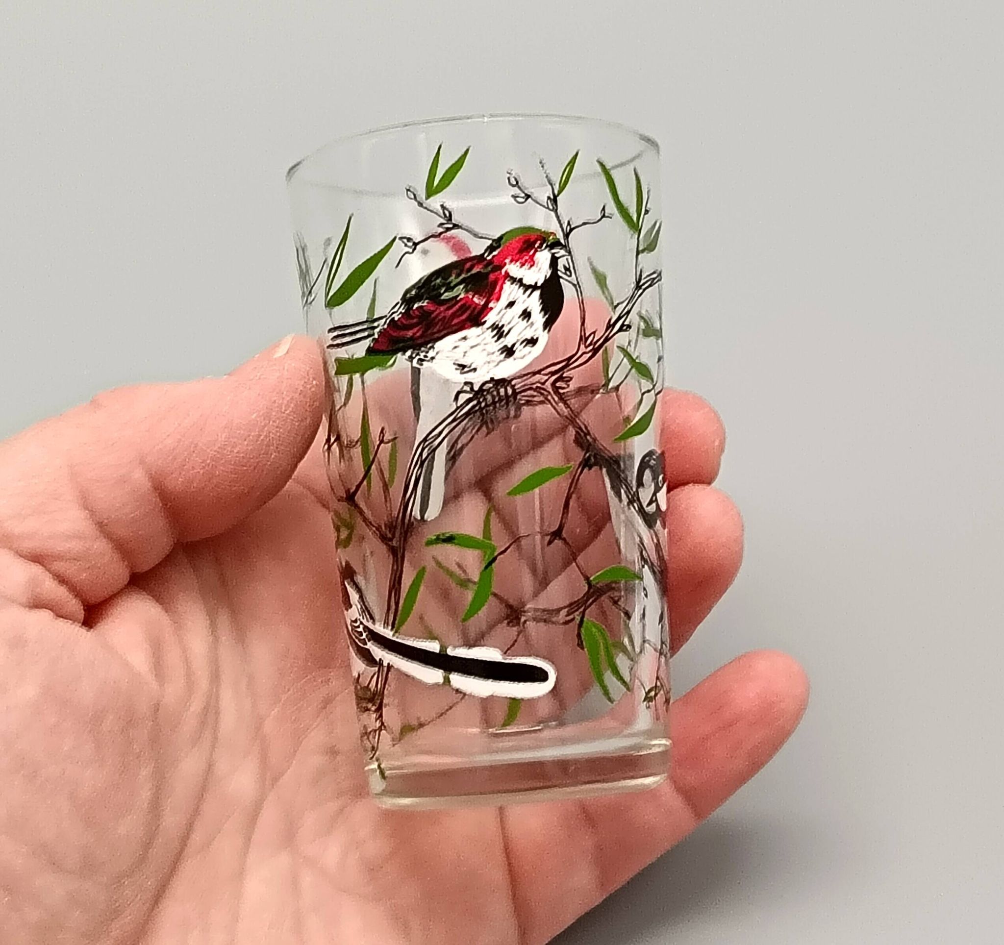 5 verres à décor d'oiseaux sérigraphiés, 1960-1970