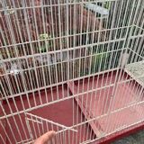 Cage ancienne oiseaux