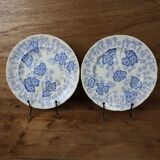 2 Terre de Fer dessert plates "Flora" model Creil Montereau