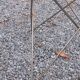 Florent Lasbleiz vintage coffee table in glass and metal