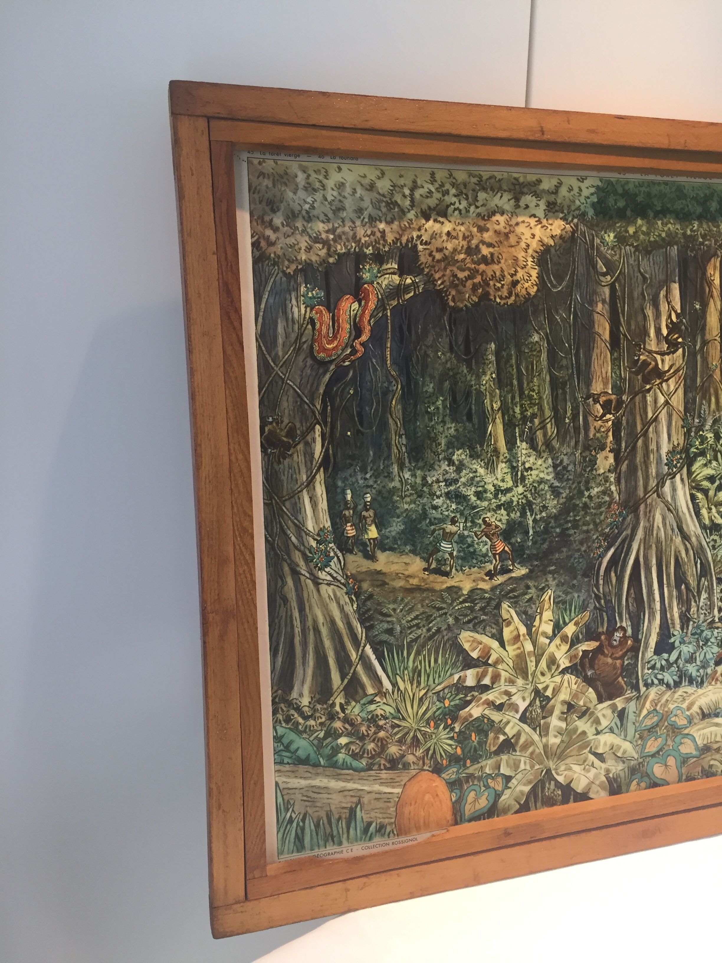 Table school nightingale year 50 with poster virgin forest / tundra