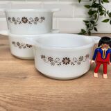 3 bowls, Pyr-o-rey ramekins