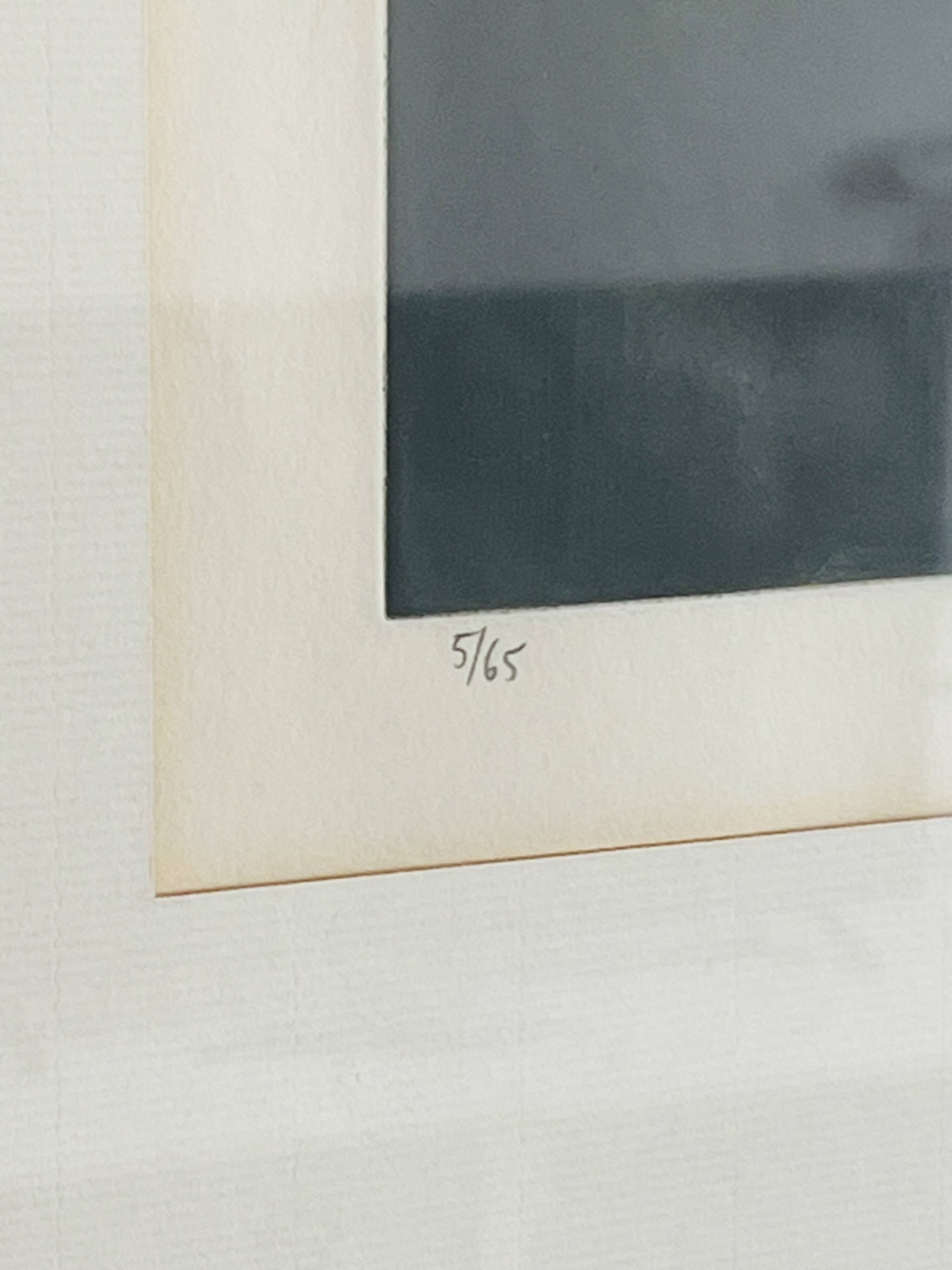 Mario avati « citrons et limons » manière noire en couleurs numéroté 5/65