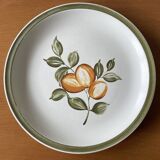 5 assiettes plates anciennes en faïence de Gien