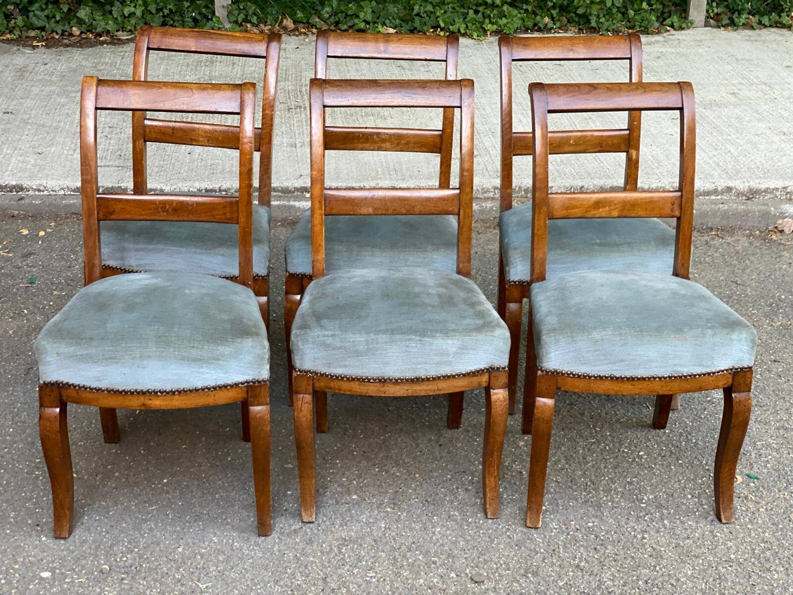 6 Biedermeier chairs in solid walnut and blue velvet, 1840