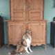 Buffet / dresser