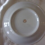 Lot of 9 porcelain dessert plates from LIMOGES