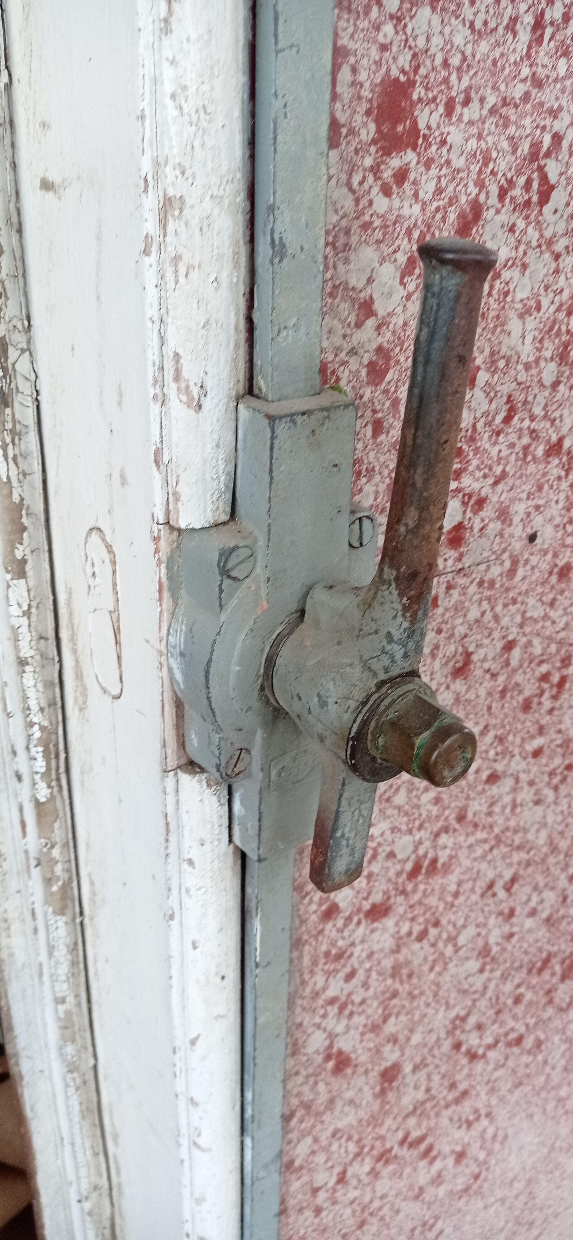 Old cold room door