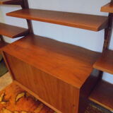 Danish modular library furniture by Poul Cadovius from the 60s