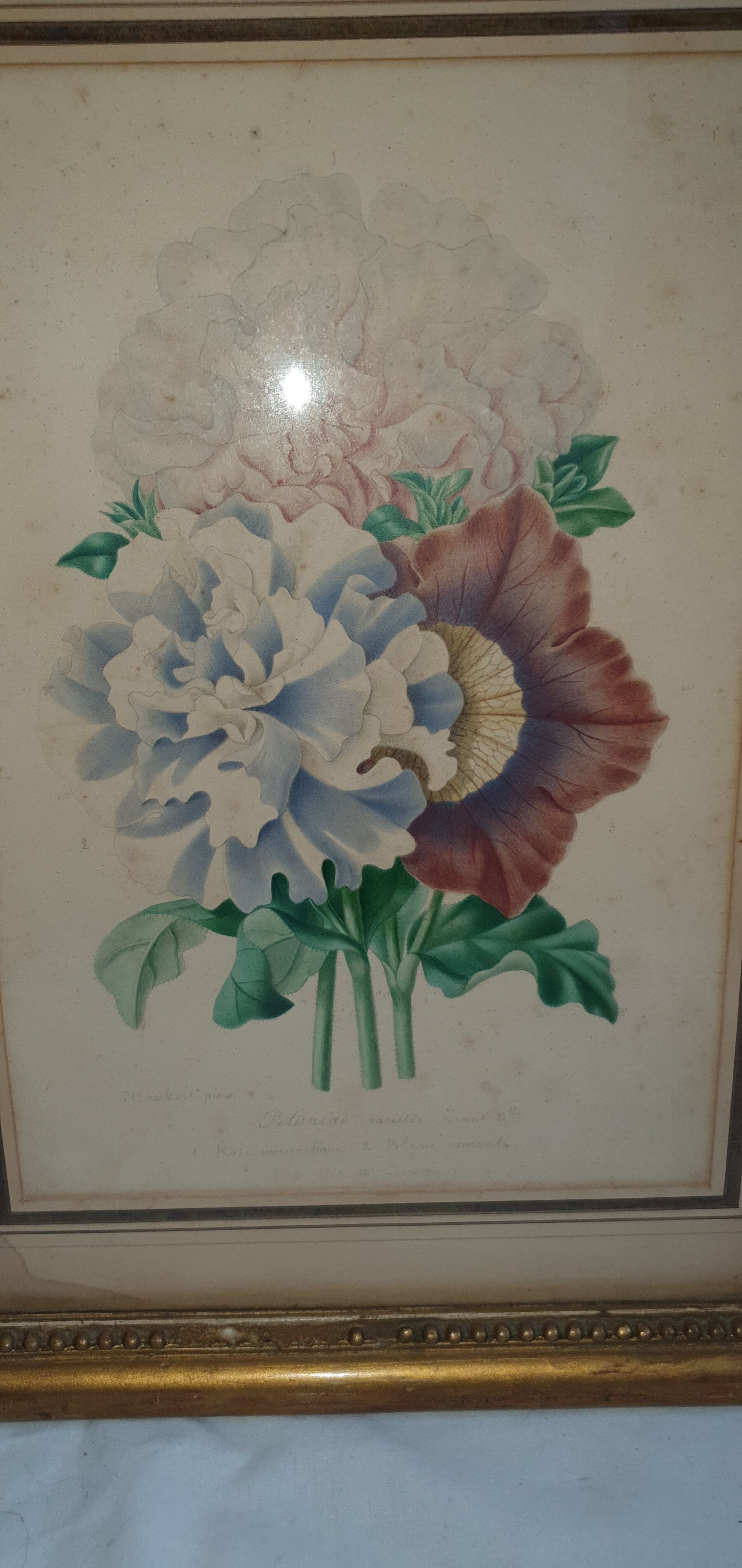 Flower lithography