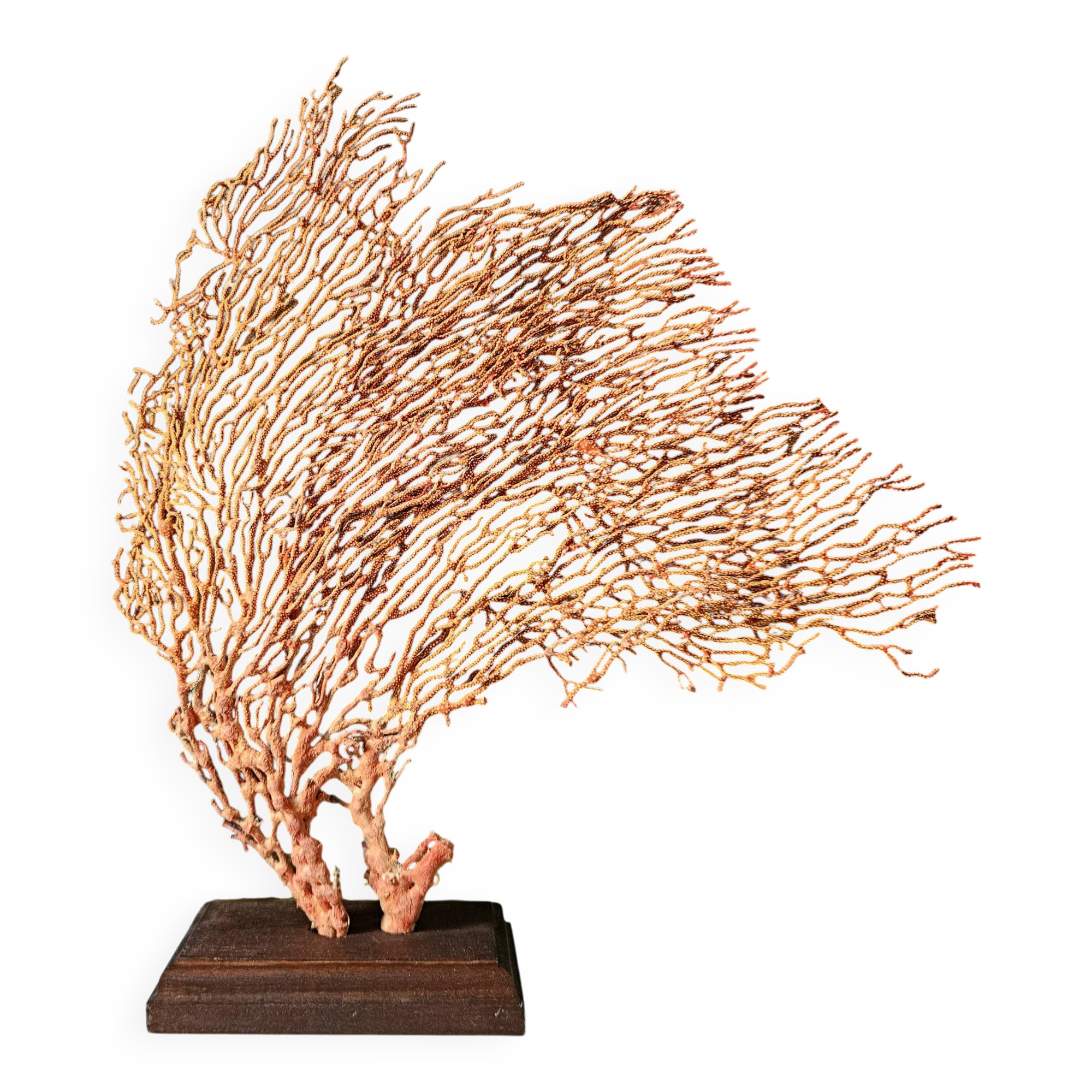 Red Gorgon Wooden Base. H: 32 cm | Decorative Object & Curiosity